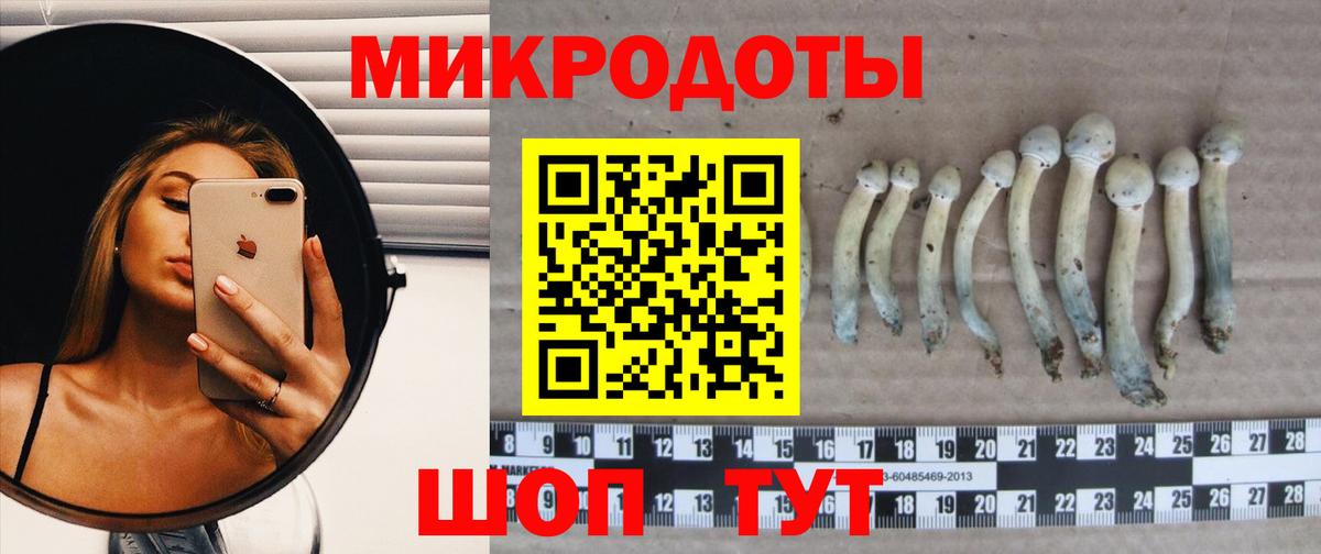 Братск  Псилоцибиновые грибы мицелий  Вход с VPN  Псилоцибиновые грибы Psilocybe 